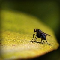 /album/dobryden4/photolia-a07-jpg/